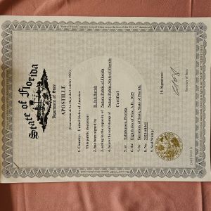 Apostille example